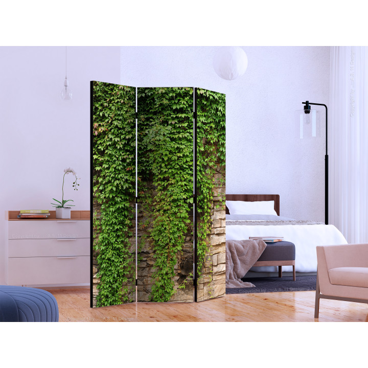 Paravent - Ivy wall