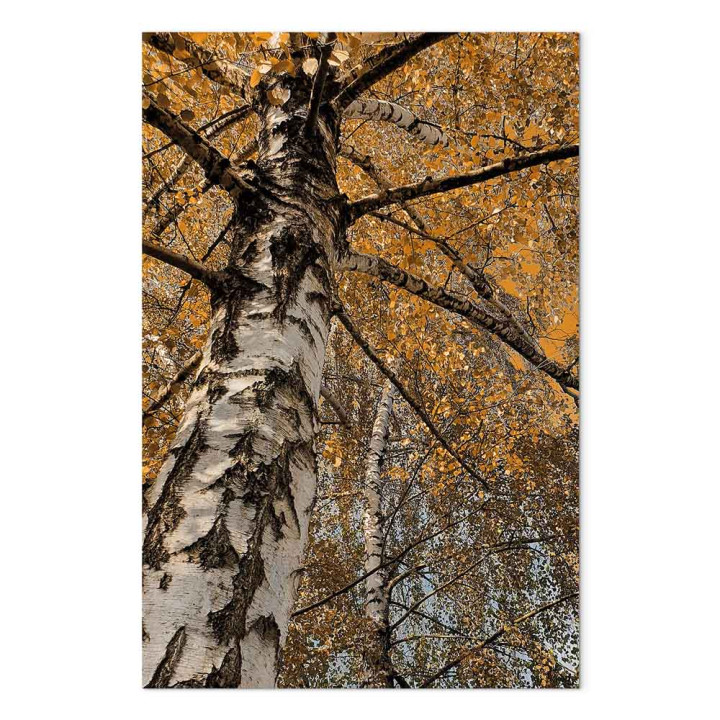 Schilderij - Autumn Colours (1 Part) Vertical