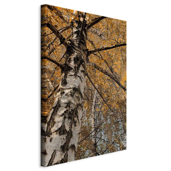 Schilderij - Autumn Colours (1 Part) Vertical