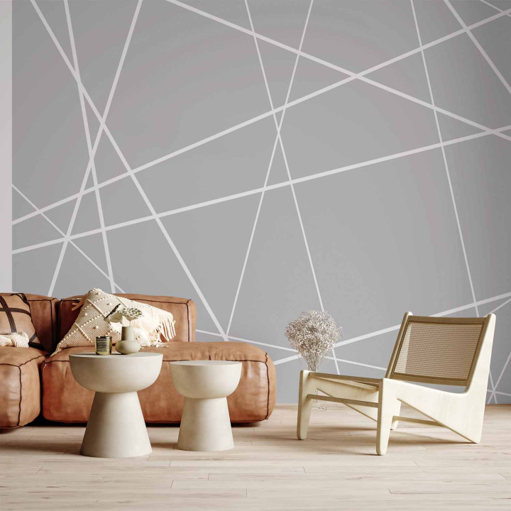 Wall mural - Modern Cobweb