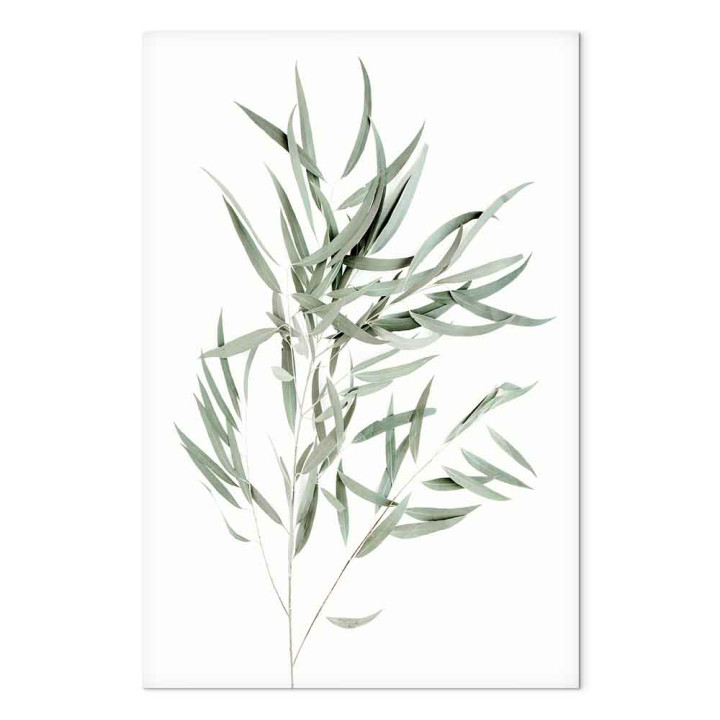 Wandbild - Nicholia Eucalyptus (1 Part) Vertical