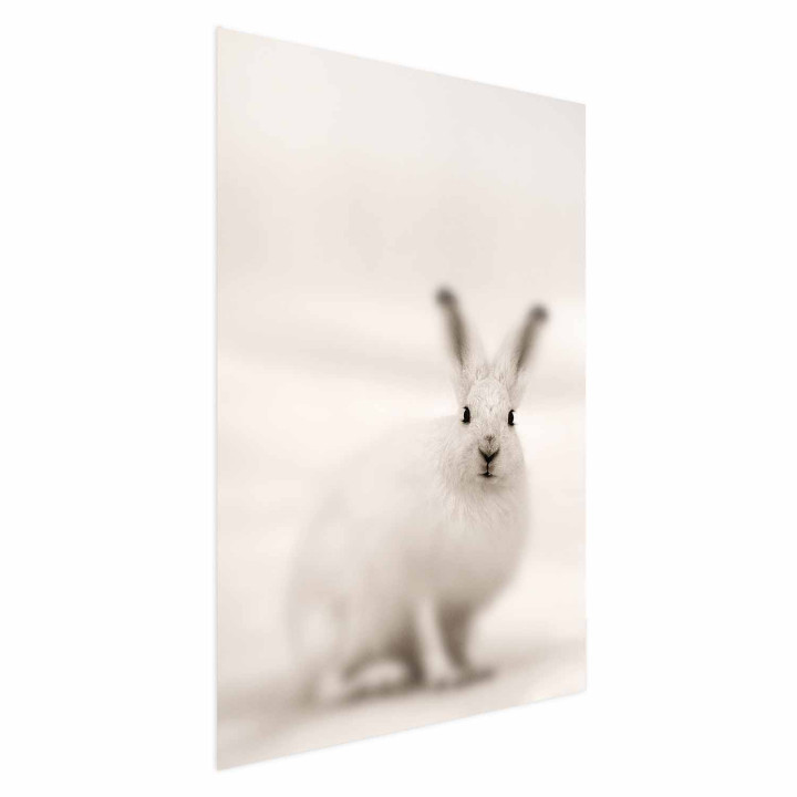 Plakat - Fearful Look