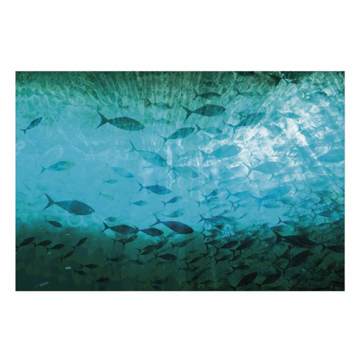 Plakat - Group of Dark Fish