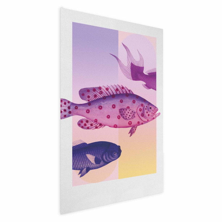 Poster - Fantastic Fish - artistic illustration of fish on a colorful background