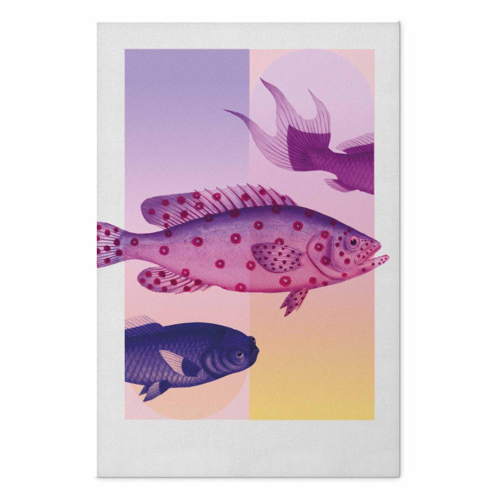 Poster - Fantastic Fish - artistic illustration of fish on a colorful background
