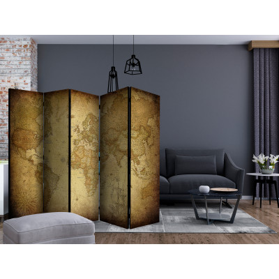 Room divider - Old map II