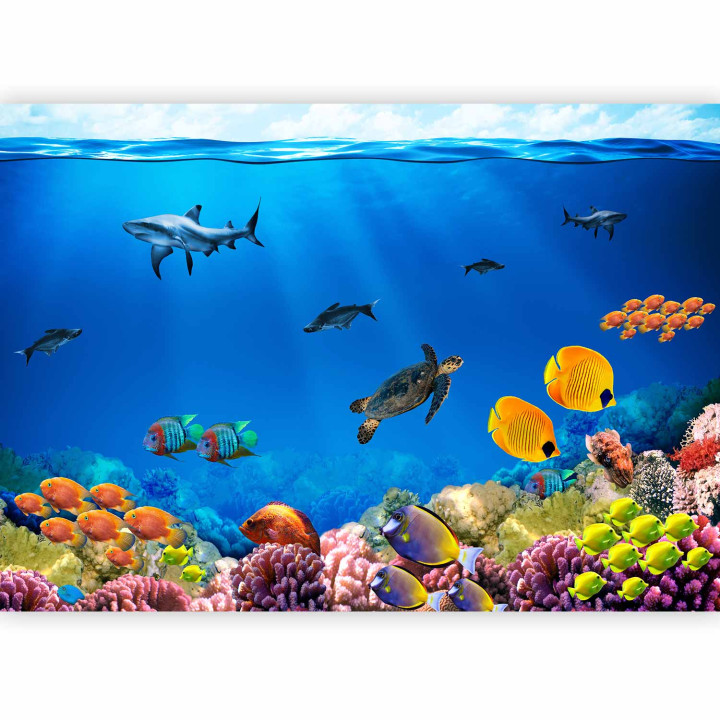 Fototapeta - Underwater kingdom