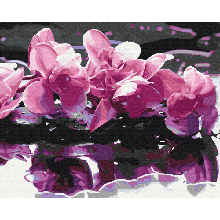 Paint-by-numbers design - Purple Orchid