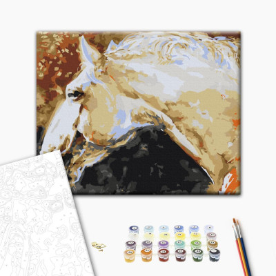 Paint-by-numbers design - White Horse