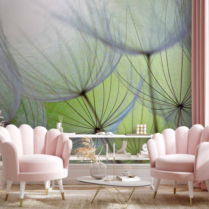 Wall mural - Fleeting moments