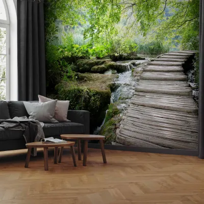 Wall mural - Forest path